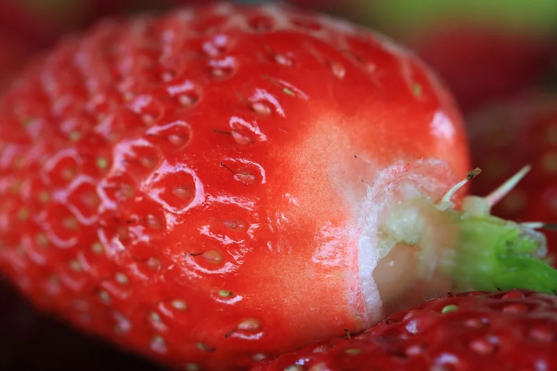 Gesunde Ernährung mit kleinem Budget: Wochenplan und Rezepte 2026